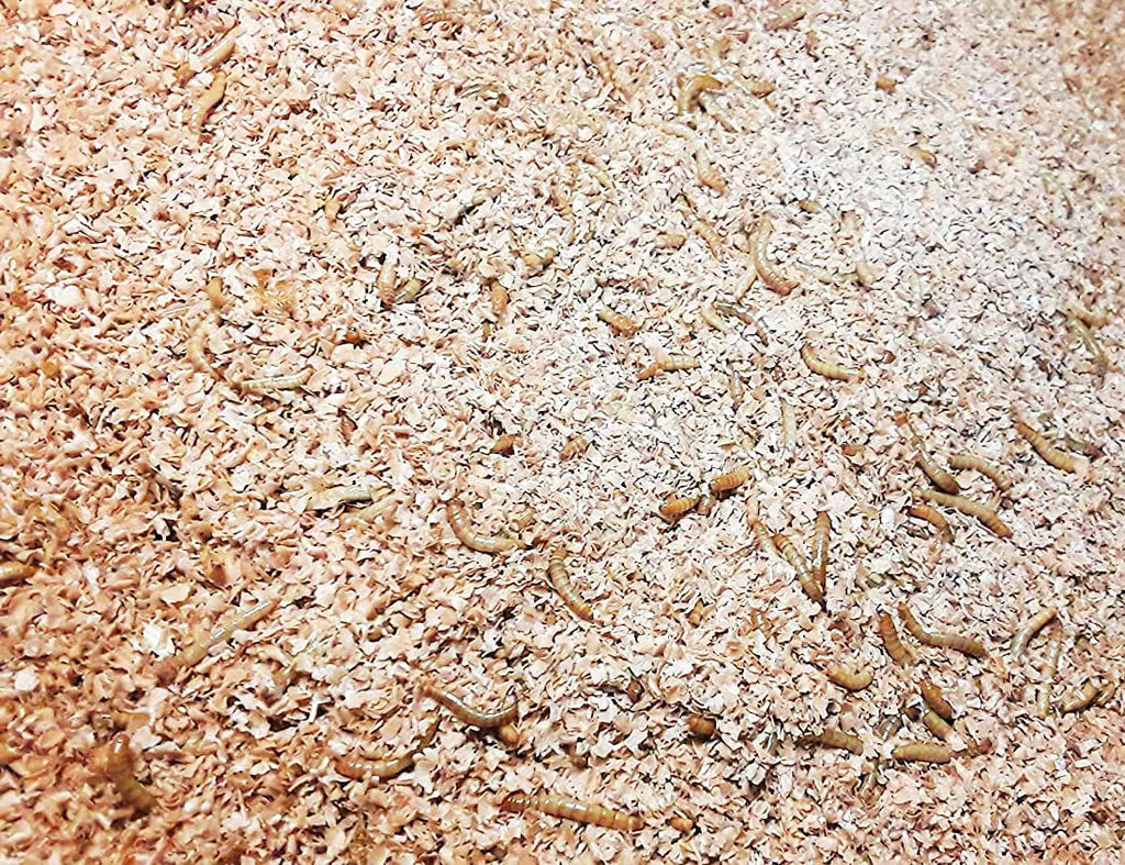 Josh's Frogs Mealworm & Superworm Wheat Bran Bedding and Food Source (5 Quarts) (Pack of 2)
