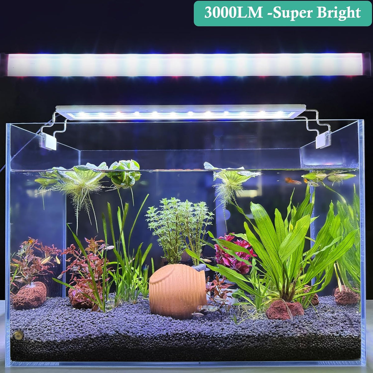 HITOP Full Spectrum LED Aquarium Light – 24-28" Classic Fish Tank Light with Timer, Aquarium Plant Light with Stable Extendable Brackets