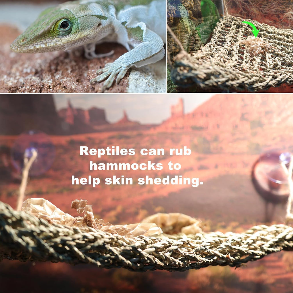 Bearded Dragon Hammock Lizard Tank Accessories Reptile Lounger Amphibian Habitat Décor for Chameleon, Geckos, Snakes, Hermit Crab, Lguana Reptiles, Tortoises