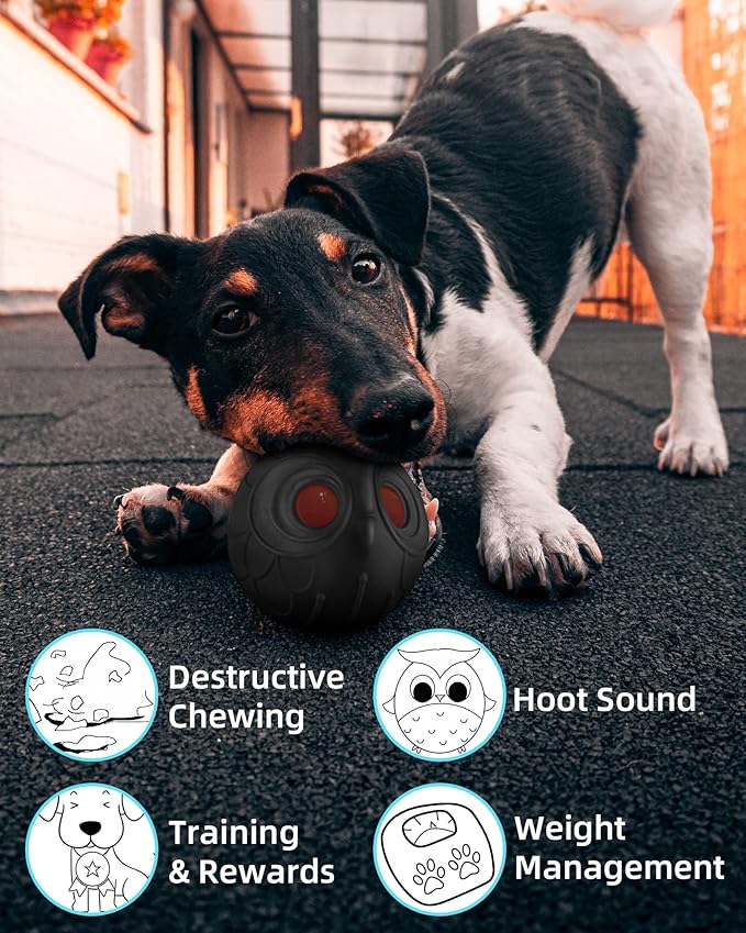 Giggle Ball for Dogs Owl Dog Toys for Aggressive Chewers Gift for Dog Natural - Image 5