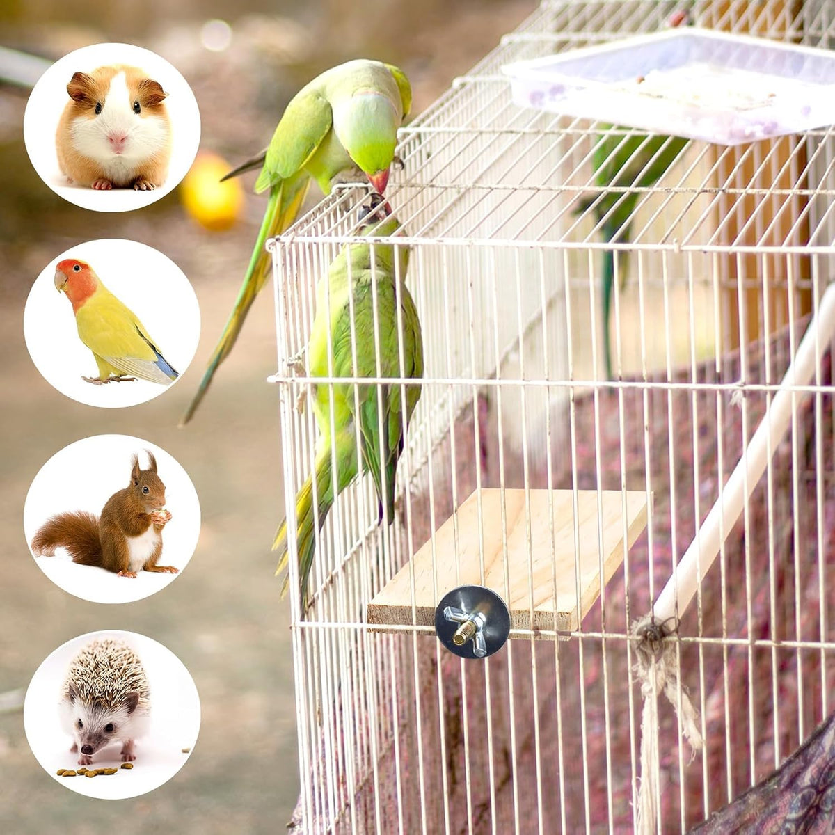 4-Size Wooden Bird Platforms and Corner Perches for Cages