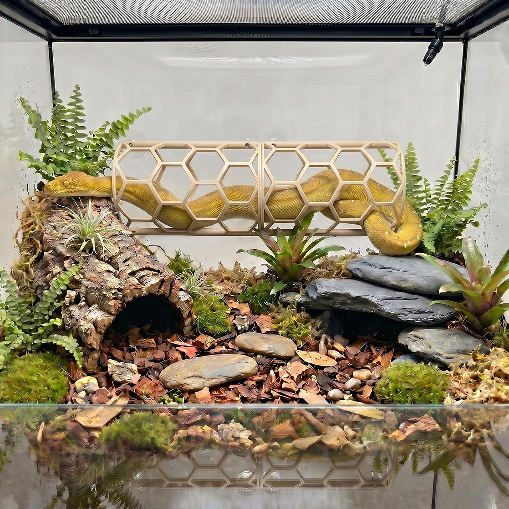 Reptile Honeycomb Climbing Shelf, Suction Cup Snake Hide & Rest Platform, Terrarium Wall Climbing Decor for Ball Python, Corn Snake, Gecko, Bearded Dragon & Lizard (Wood Color)