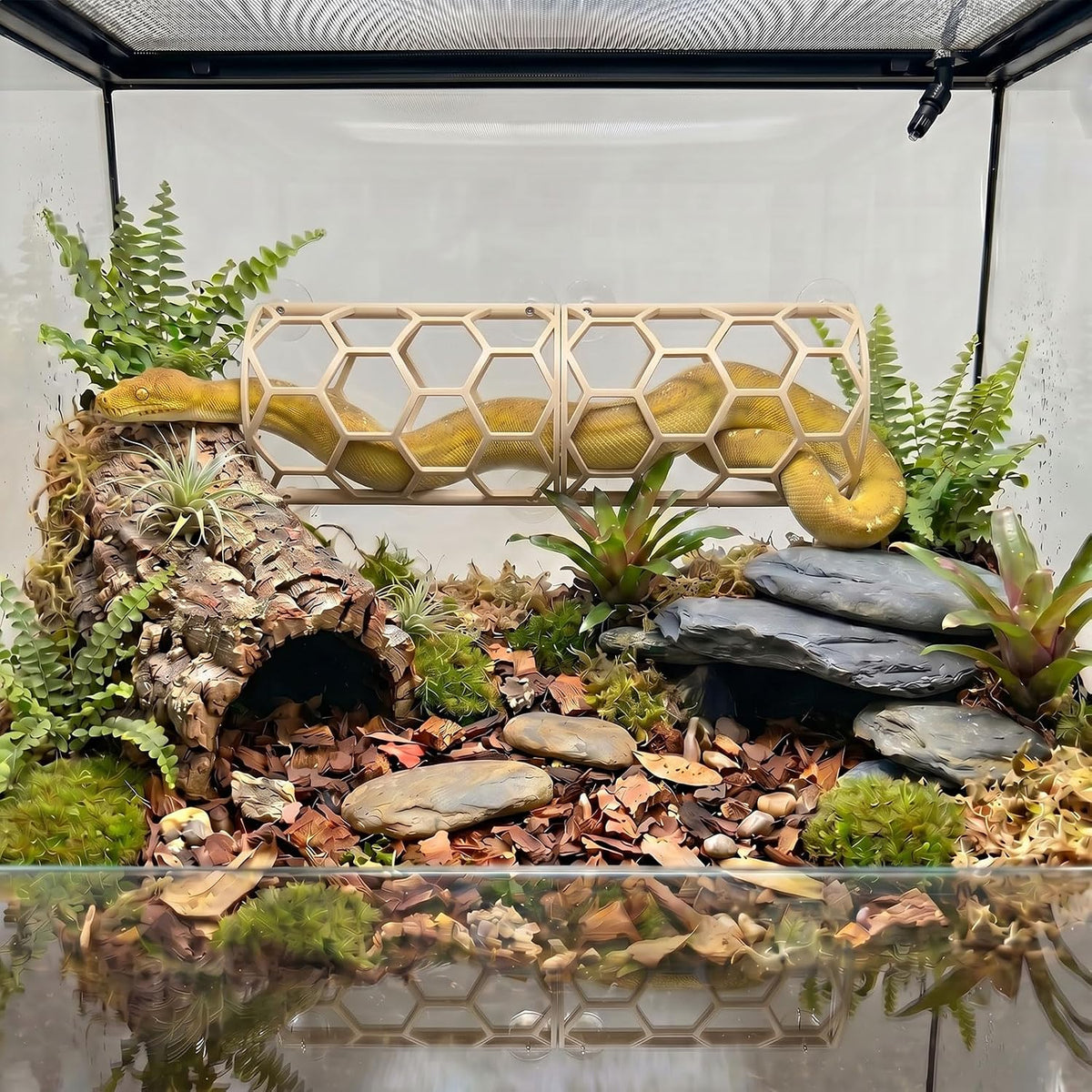 Reptile Honeycomb Climbing Shelf, Suction Cup Snake Hide & Rest Platform, Terrarium Wall Climbing Decor for Ball Python, Corn Snake, Gecko, Bearded Dragon & Lizard (Wood Color)