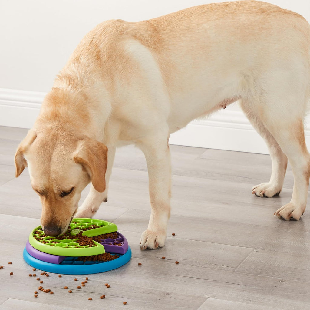 Outward Hound Nina Ottosson Lickin’ Layers 3-in-1 Dog Toy Treat Puzzle, 10", (Pack of 12)