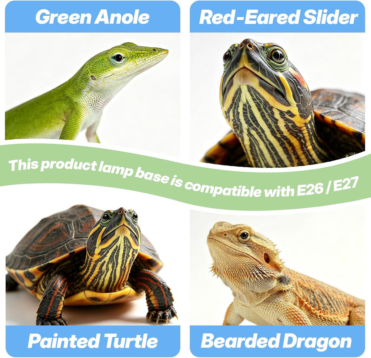 Dual-Head Reptile Heat Lamp with Timer & Waterproof Metal Probe Hygrothermograph, 2×25W UVA UVB Basking Light for Turtle Lizard Snake Bearded Dragon