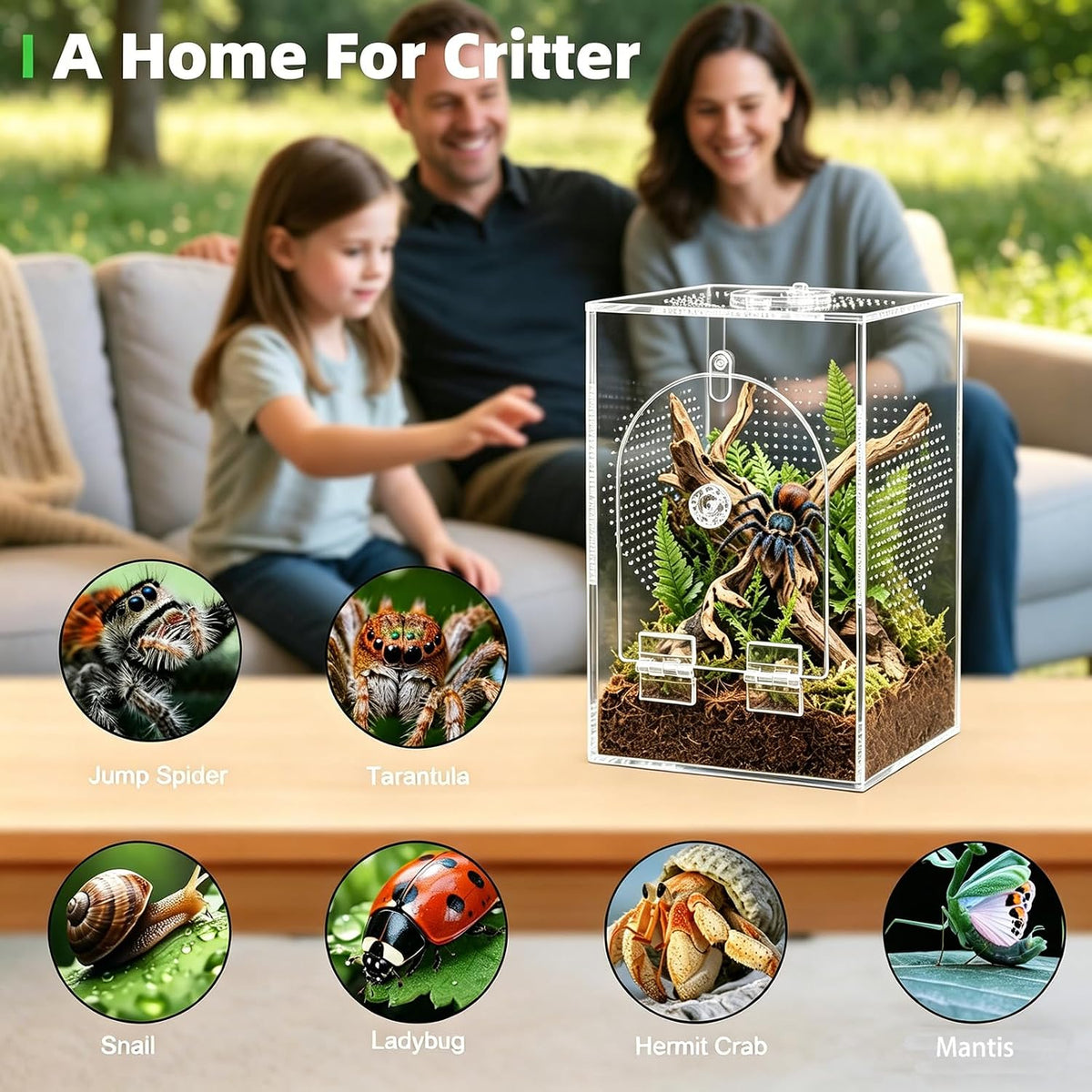 Cycodo Jumping Spider Enclosure,Seamless Escape-Proof Tarantula Terrarium,Anti-Warp Thickened Acrylic Insect Cage with Front Door & Feeding Port for Mantis,Hermit Crabs,Snail,Micro Reptile,5 * 5 * 8"