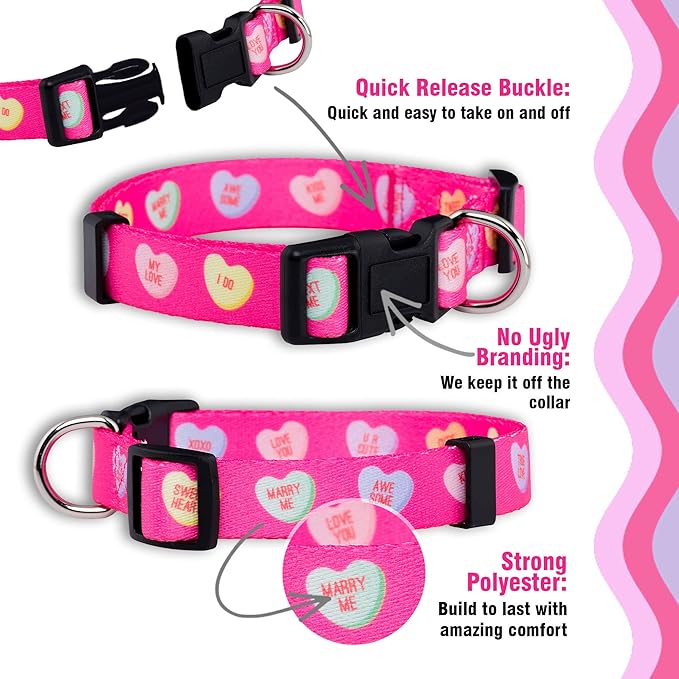 Native Pup Valentine’s Dog Collar- Valentines Day Pet Collars- Valentine Girly - Image 4