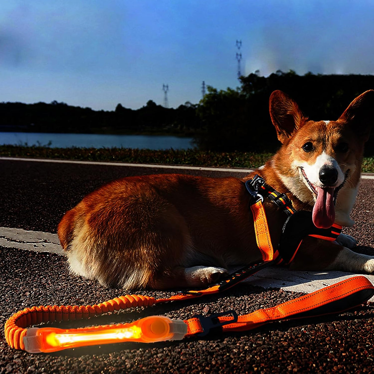 2 Pack LED Light for Dog Leash Harness, Light Up Dog Collar with Nylon Stickers, Waterproof Glow Light Easy to Attach to Collar Leash and Harness, Safety LED Light Up Band for Dogs at Night Walking