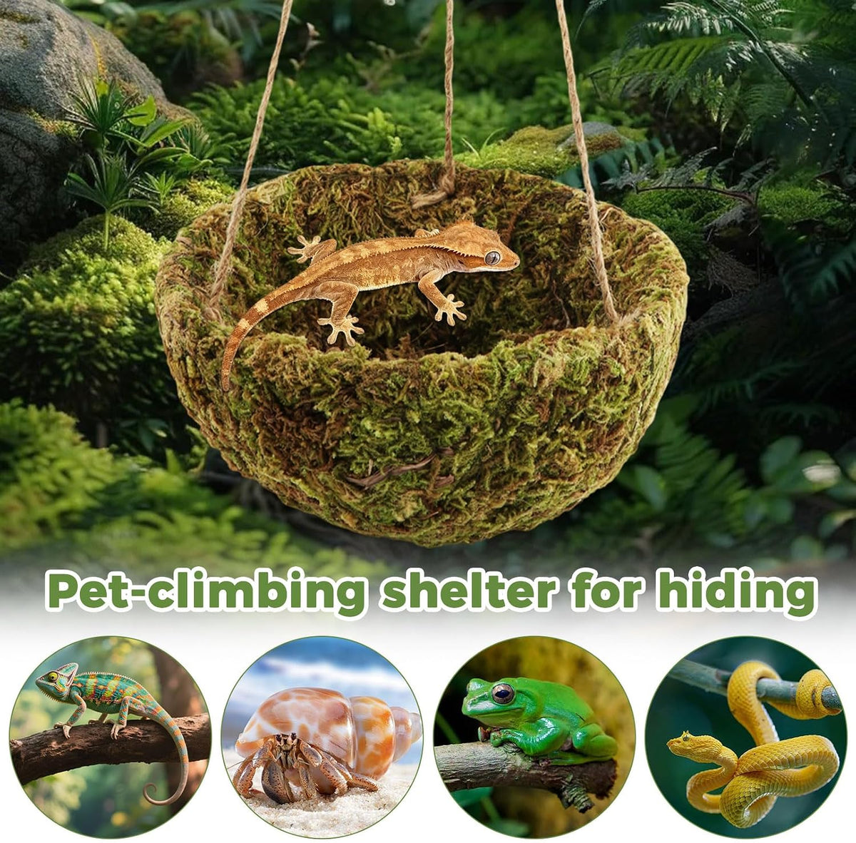 Handmade Crested Gecko Tank Accessories, Hanging Moss Reptile Hideout