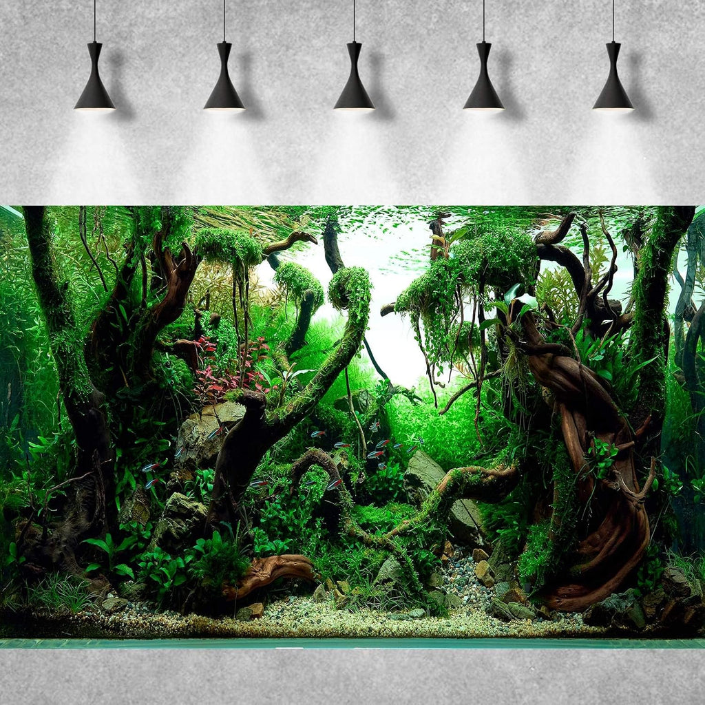 Freshwater Aquarium Background Jungle Style Aquascape Microsorum Trident Various Rotalas Anubias Fish Tank Background Aquatic Plants Frodo Stones and Redmoor Roots Terrarium Background 72x24in