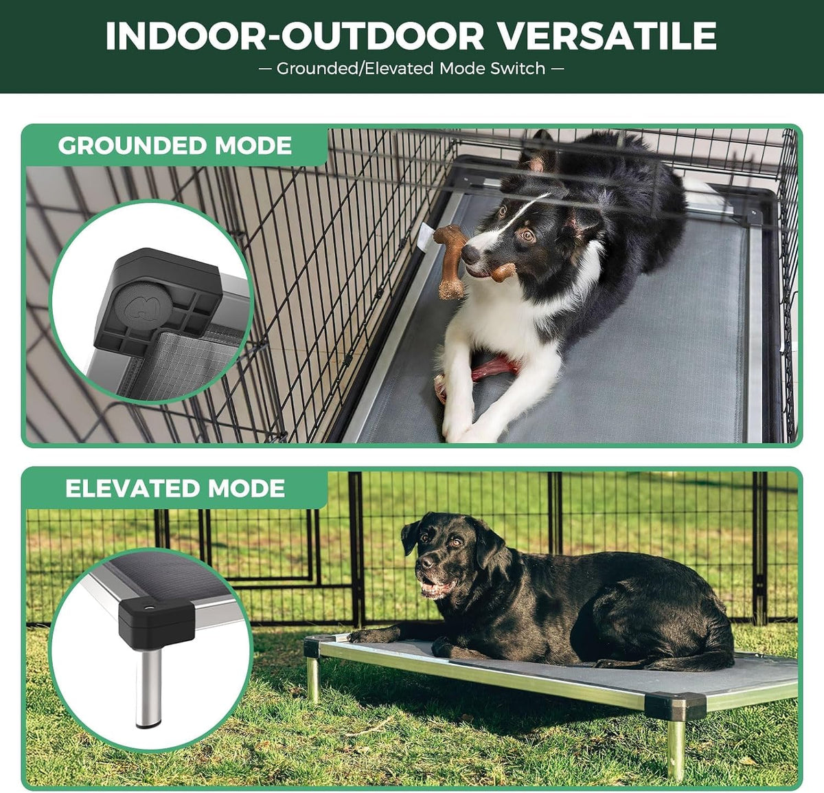 FXW TitanNest Padded Chew-Proof Elevated Dog Bed for Large Dogs