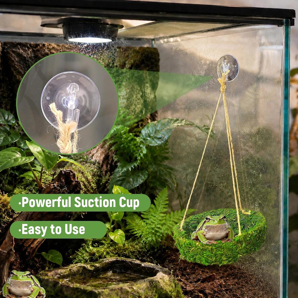 Frog Reptiles Cave Hide, Green Lizard Hideout with Safe Shelter
