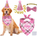 STMK Dog Birthday Outfits by STMK