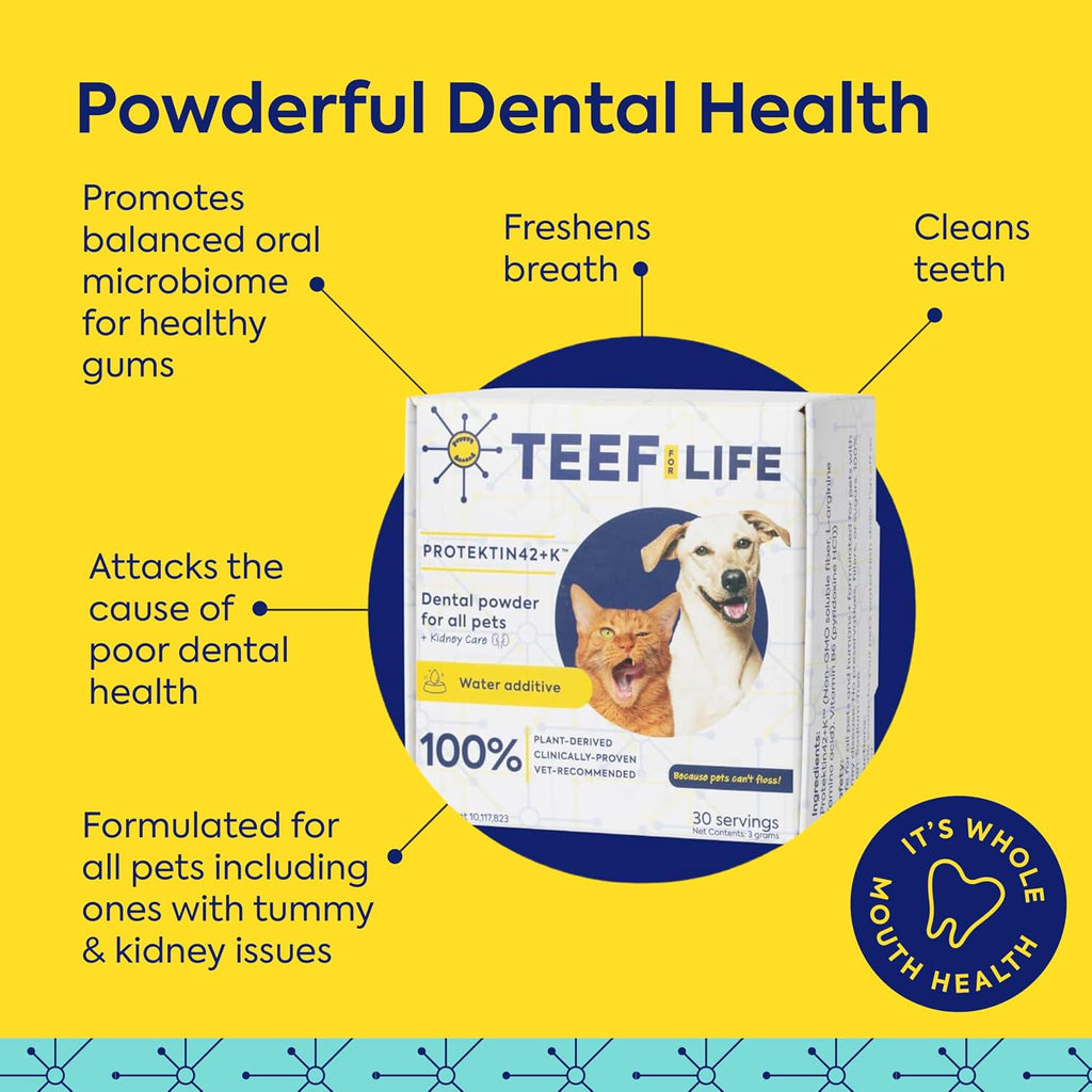 TEEF FOR LIFE Protektin42K Prebiotic Cat & Dog Dental Powder Kit