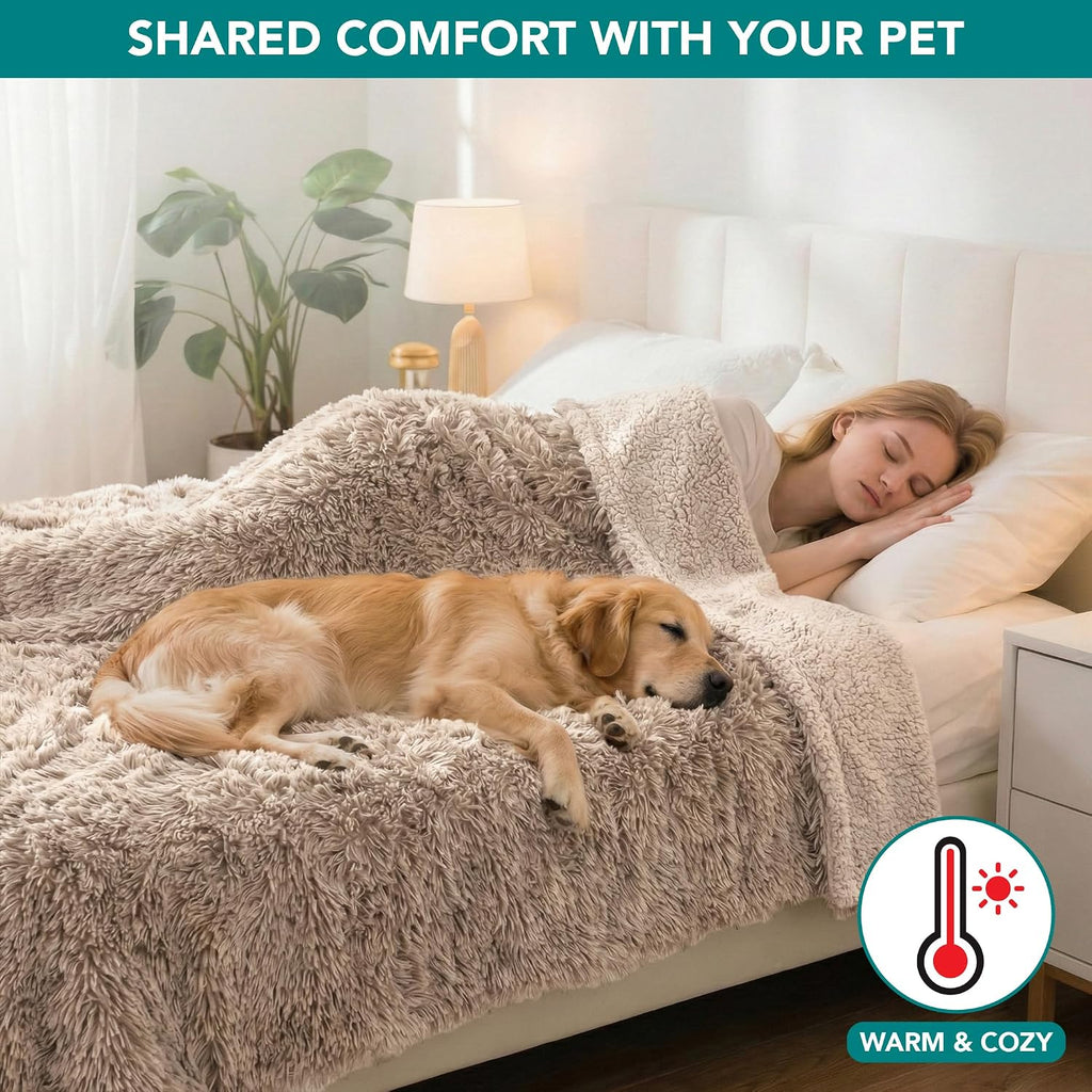 PetAmi Waterproof Dog Blanket for Couch Protector Pet Throw, 60x80 Taupe