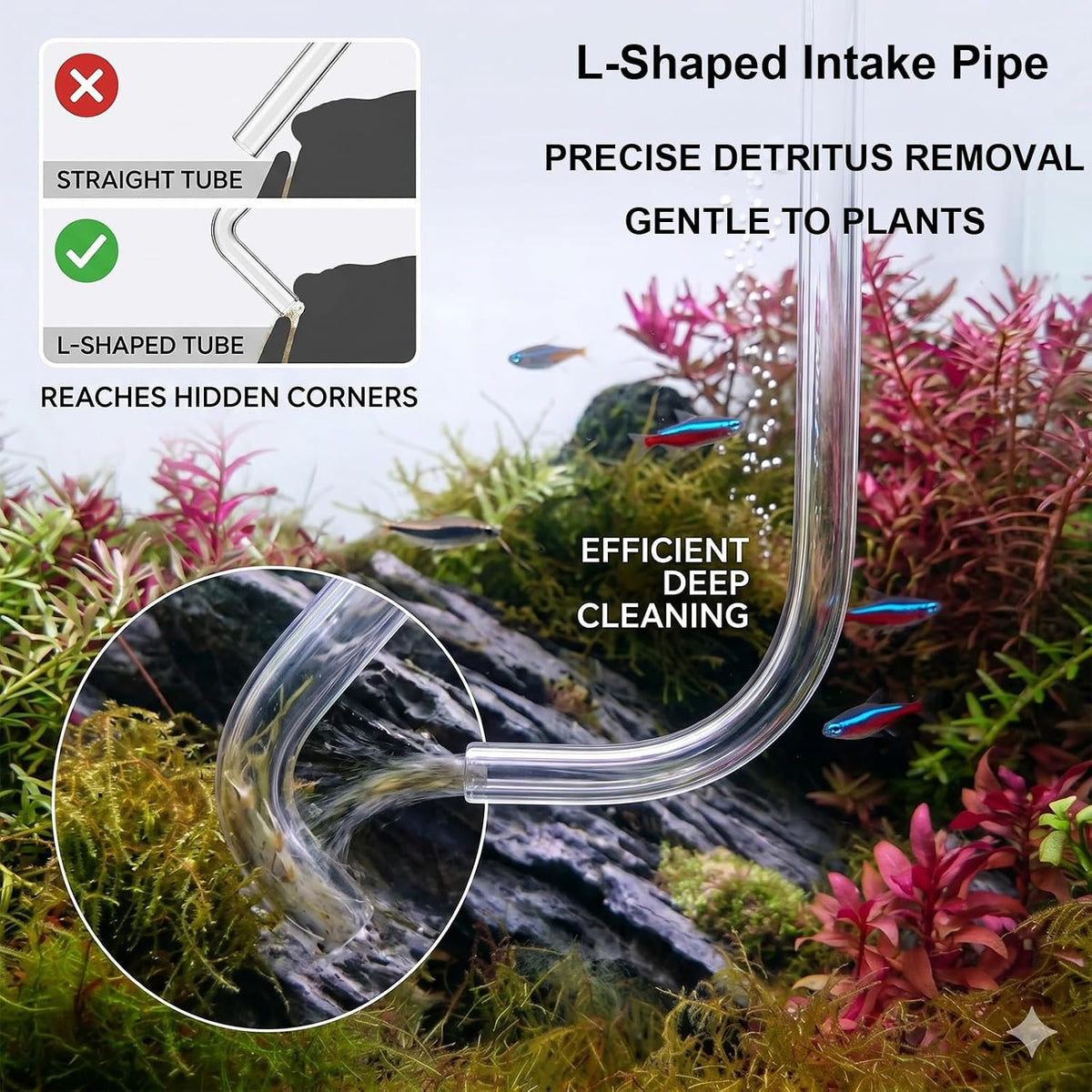 AREPK Aquarium Siphon Vacuum and Water Changer Kit for Small Fish Tanks