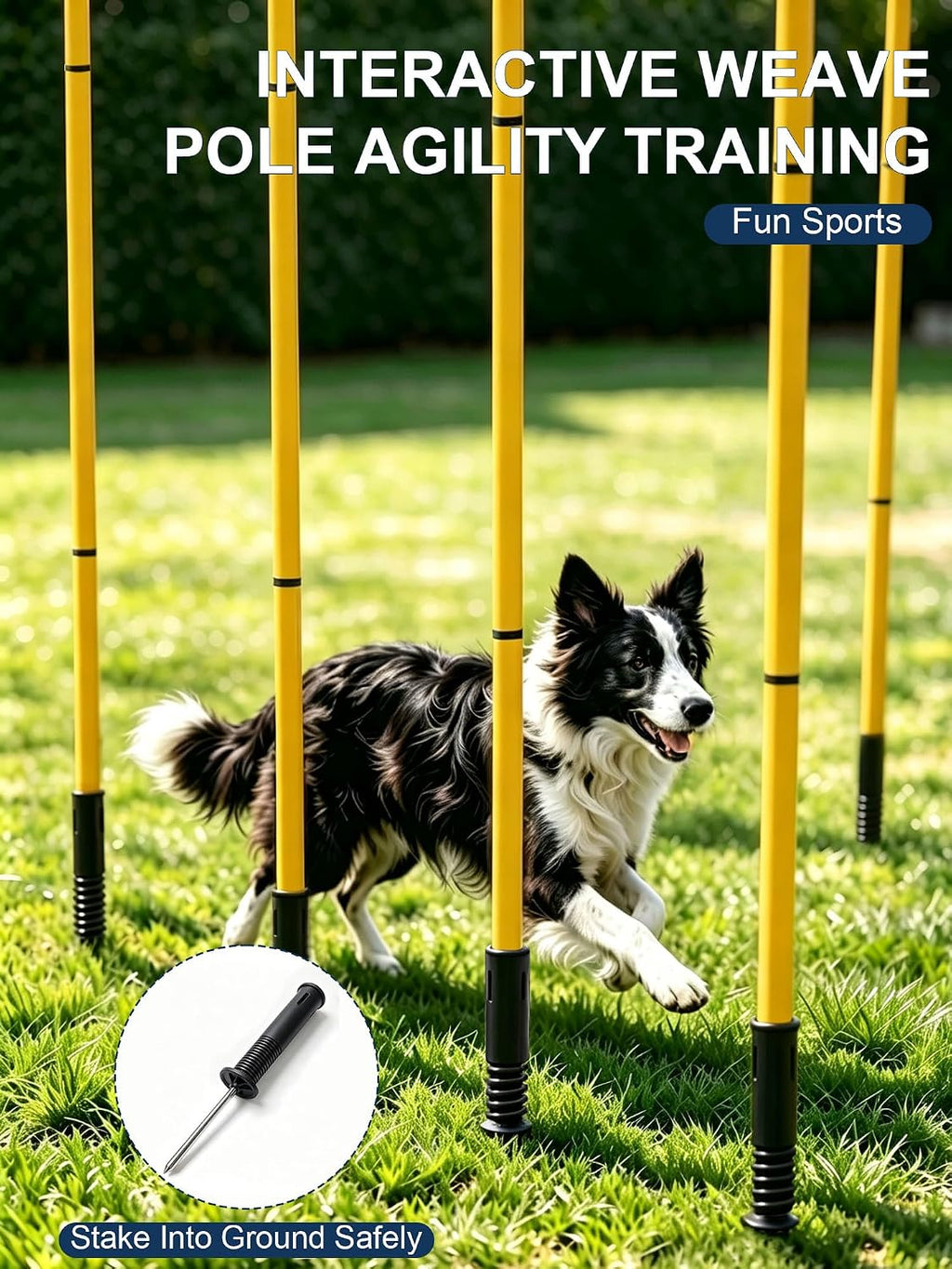 Dog Agility Training Hurdle Cone Set, Adjustable Dog Agility Equipment Obstacle Course Backyard Equipment for Pet Exercise