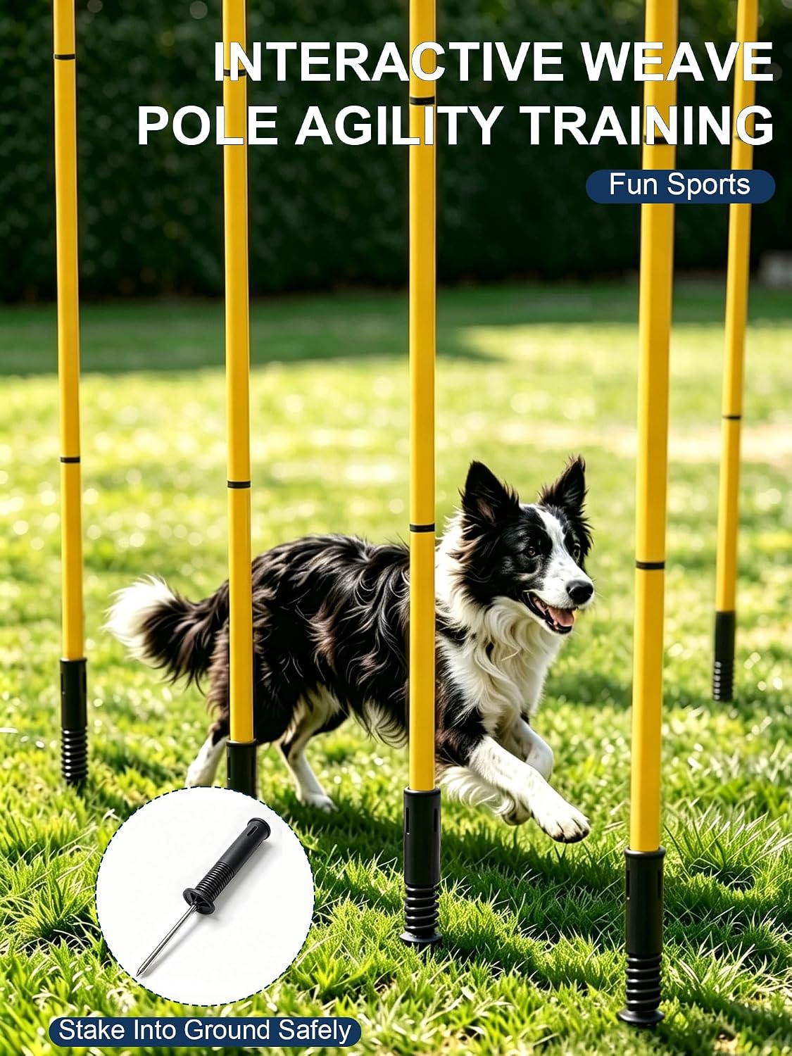 Dog Agility Training Hurdle Cone Set, Adjustable Dog Agility Equipment Obstacle Course Backyard Equipment for Pet Exercise