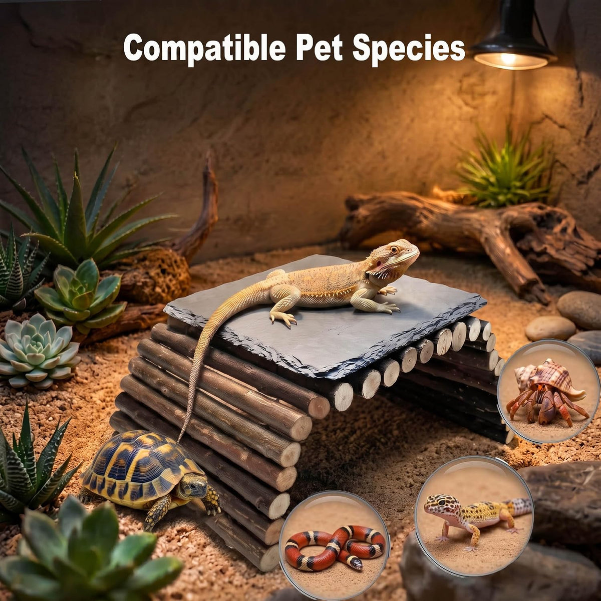 Bearded Dragon Tank Accessories – Rock Basking Platform with Wooden Climbing Ramp, Basking Rocks for Bearded Dragons, Reptile & Amphibian Habitat Hideouts for Tortoise, Gecko & Snake.