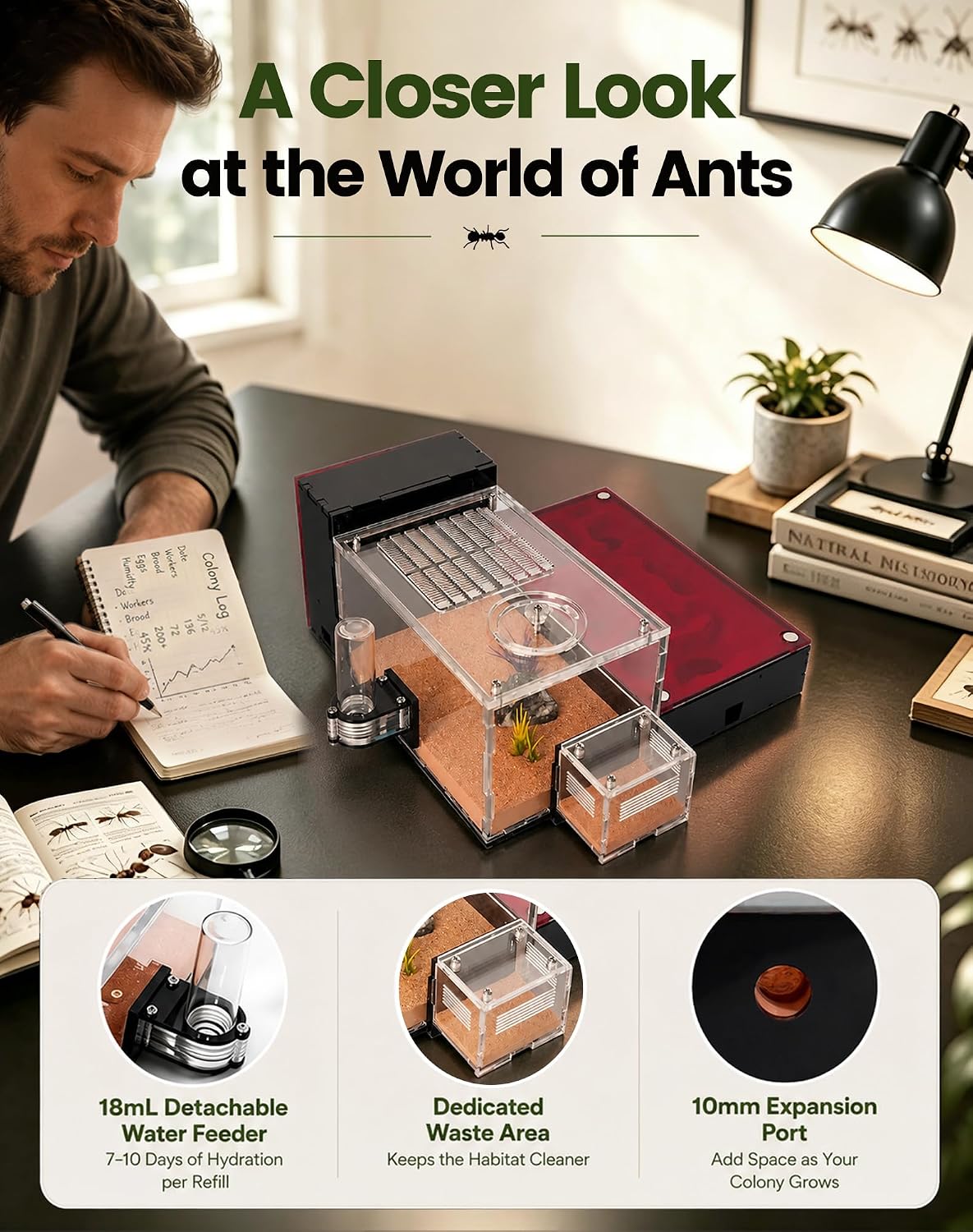 Ant Formicarium for Live Ants & Queen, Dual-Level Ant Nest