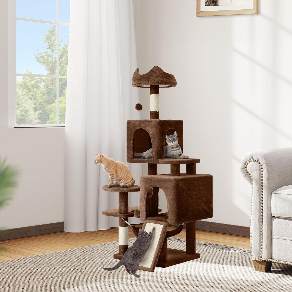 DWVO 54 in Multi‑Level Cat Tower