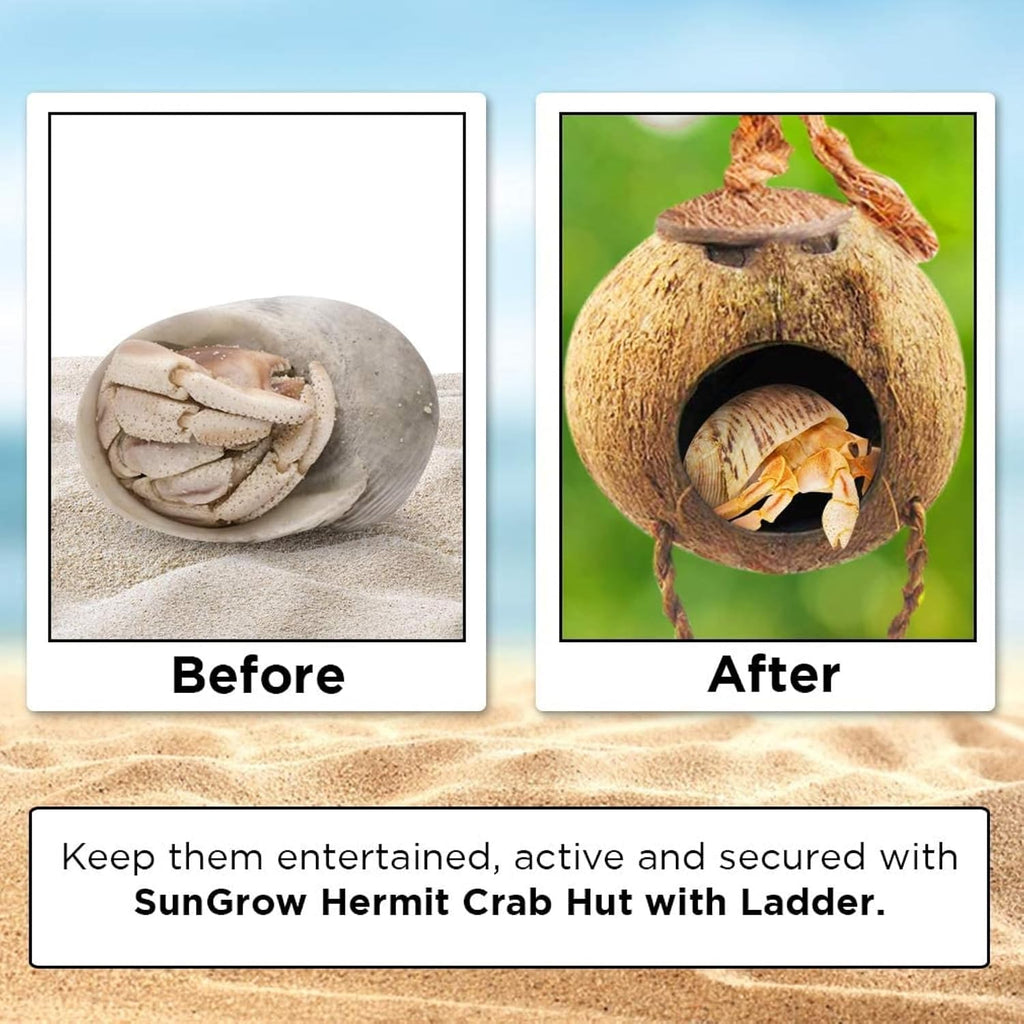 SunGrow Hermit Crab Coco Hut with Ladder, Hamster & Hermit Crab Hideout, Coconut Hide for Reptiles, Crab Cage Climbing Toys, Coconut Shell Mouse House, Habitat Tank Accessories, 5"