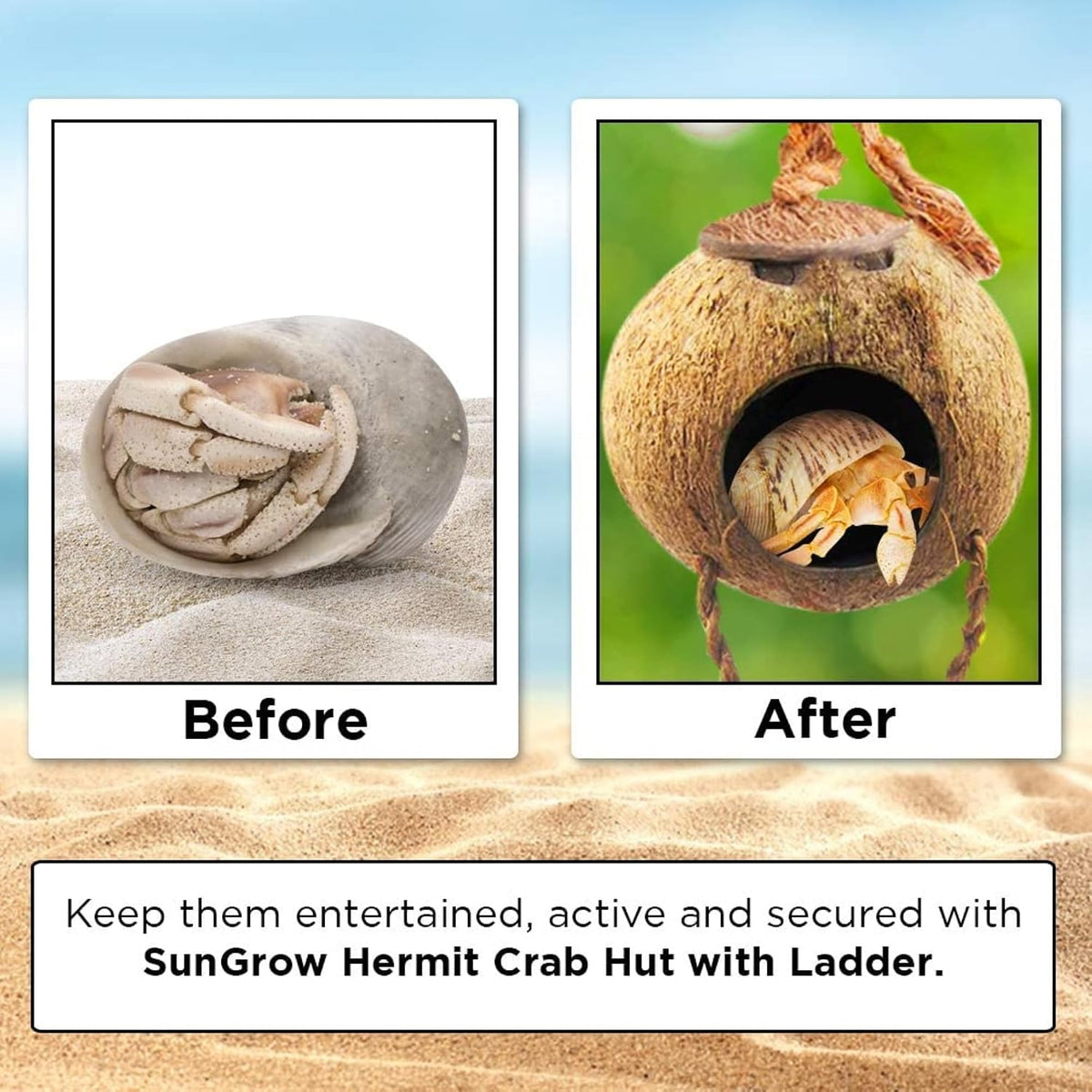 SunGrow Hermit Crab Coco Hut with Ladder, Hamster & Hermit Crab Hideout, Coconut Hide for Reptiles, Crab Cage Climbing Toys, Coconut Shell Mouse House, Habitat Tank Accessories, 5"
