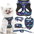 PUPTECK Adjustable Dog Harness Collar and Leash Set, Step in No Pull Pet Harness by PUPTECK
