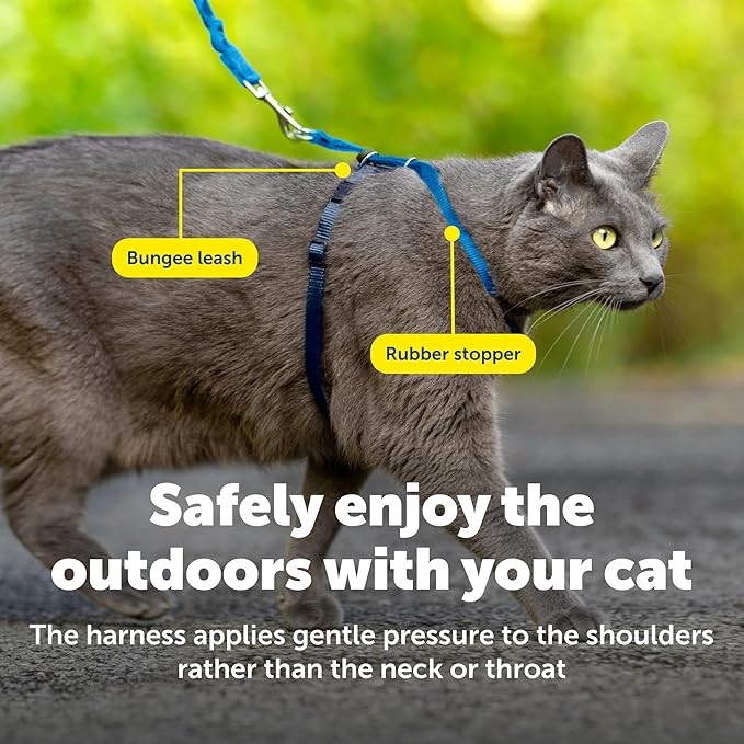 PetSafe Come with Me Kitty Cat Harness & Bungee Leash - Image 6