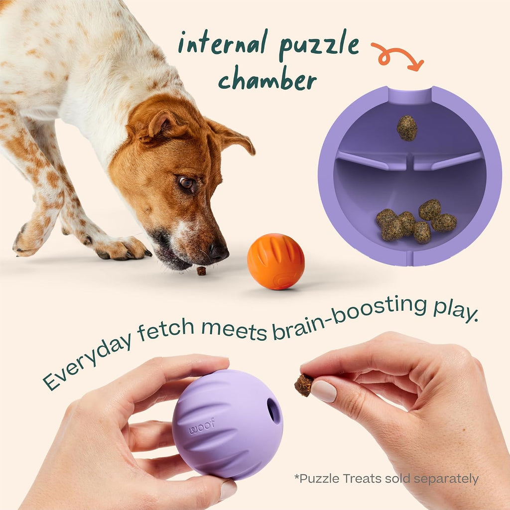 WOOF Flyball Fetch Ball & Dog Treat Dispenser Toy, 3-Pack