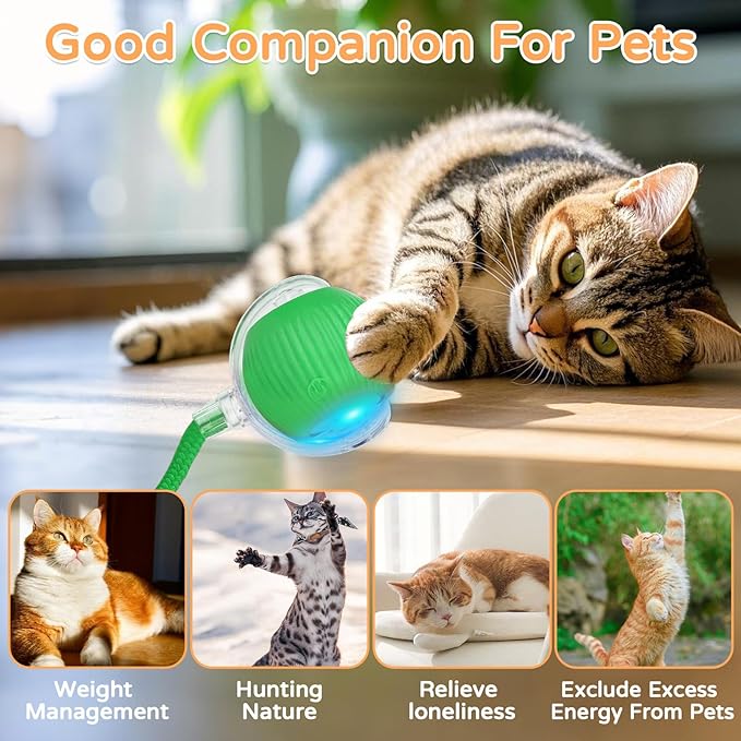 2025 New 1Pack Cat Ball Kitten Toys - Image 5