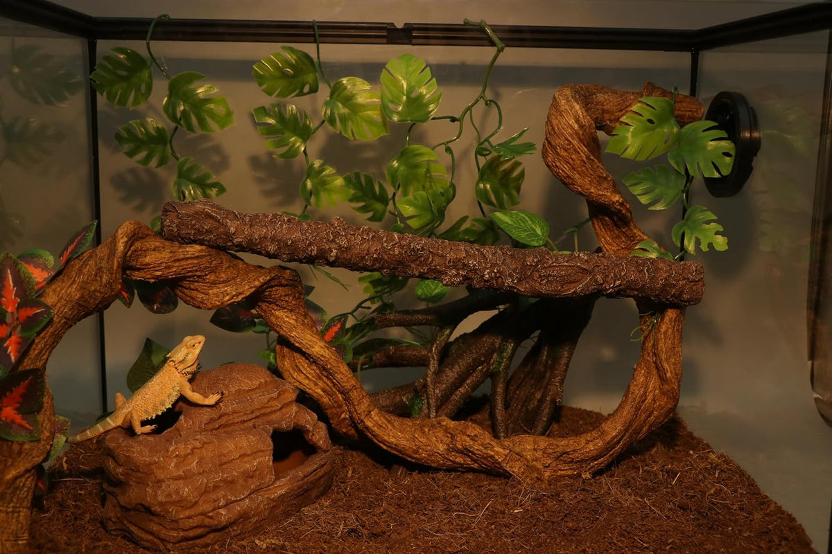AQUA KT Reptile Hide and Cave Hideout for Snake Crested Gecko Ball Python