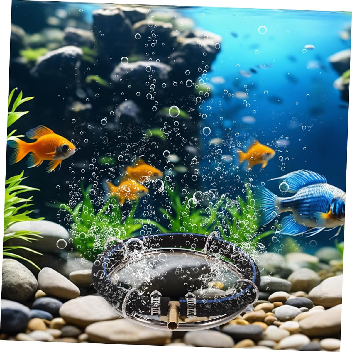 ORFOFE Bubble Ring Pump Aquarium Air Stone Diffuser Stainless Steel Oxygen Bubbler for Fish Tank and Pond Extra Fine Micro Bubbles 6.41 X 6.29 X 0.98 in 1 Pack