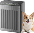 Air Purifiers for Home Large Room up to 2200sq.ft by Unknown