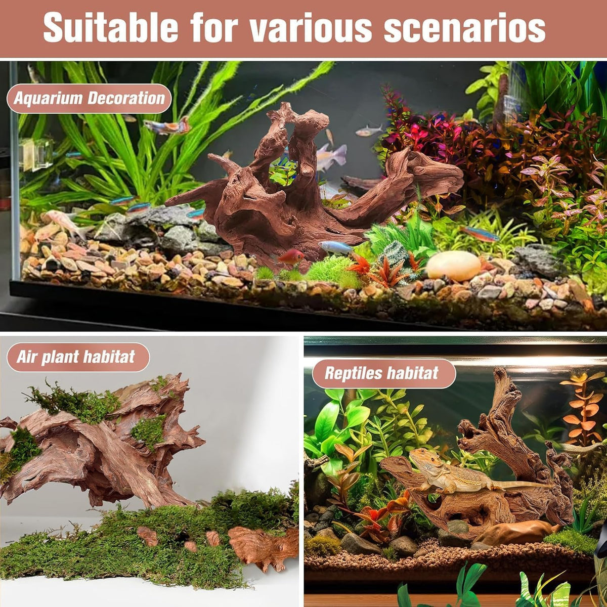 Natural Small Aquarium Coral Driftwood Decorations Fish Tank Decor