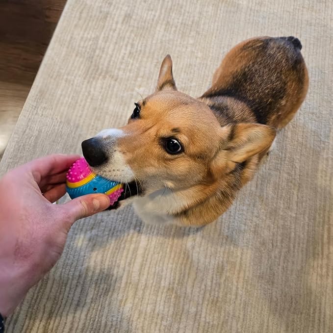 SPOT Sensory Ball for Soft Chewers - Image 11
