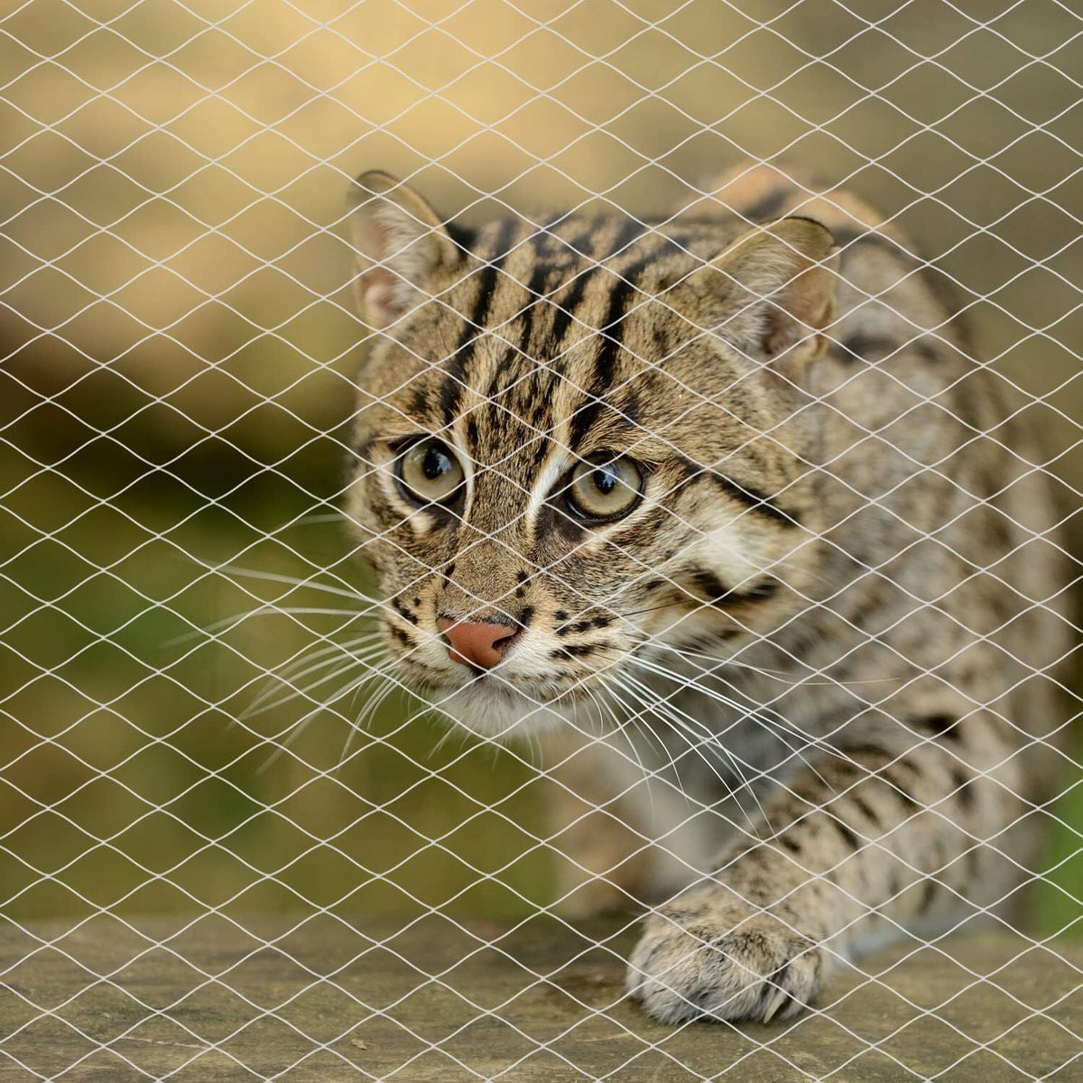Cat Netting for Balcony, Anti-Fall Fence for Balcony/Stairs/Window