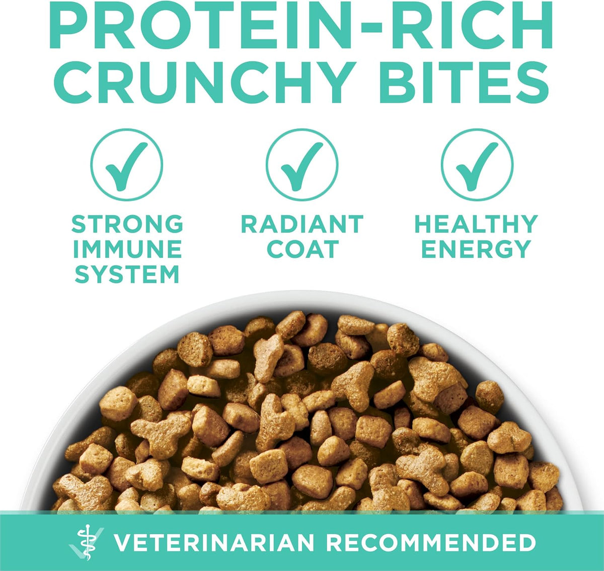 Purina ONE Sensitive Skin and Stomach Dry Cat Food 16 lb Bag