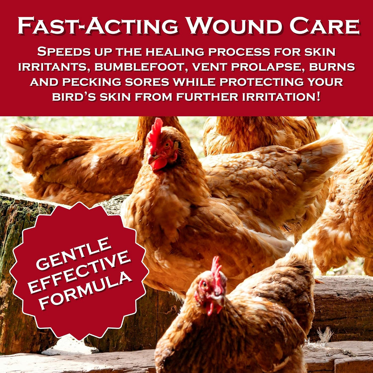 Chicken's Choice Wound Care for Chickens & Birds. Advanced Wound Care Spray for Poultry. Works for Bumblefoot, Vent Prolapse, Pecking Sore, Burns & Skin Irritations. 8 oz Ready to Use Spray