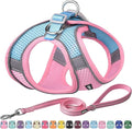 AIITLE Comfortable Dog Harness and Leash Set by AIITLE-FORPETSBETTERLIFE