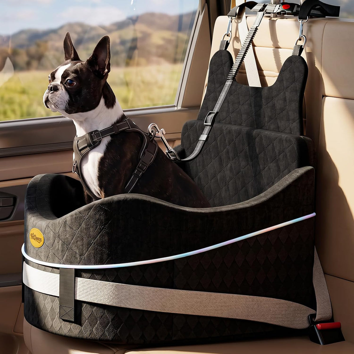 【Master Crafted for Medium Dogs】PetDance Dog Car Seat with Anti-Tip Design