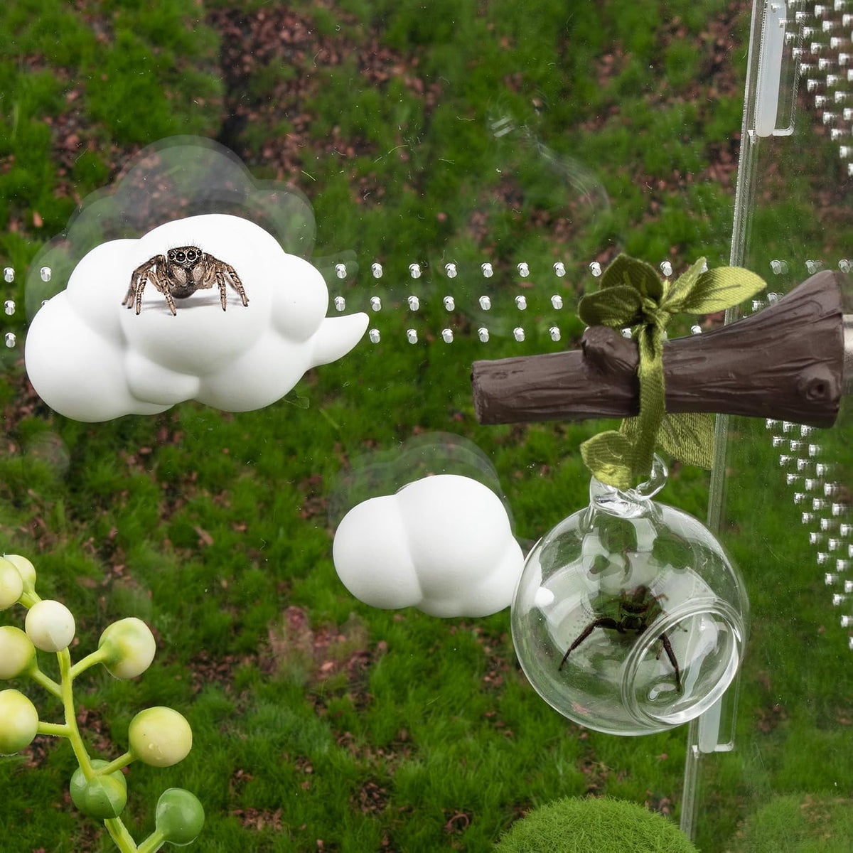 Jumping Spider Accessories for Decor Jumping Spider Enclosure Accessories 4 Pcs