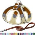 AIITLE Small Dog Harness and Leash Set, Step-in Puppy Pet Vest, Beige S