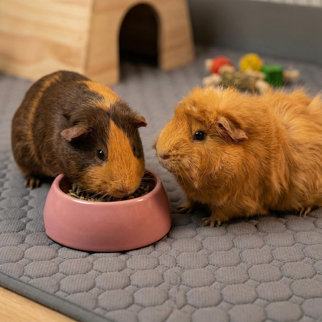 Guinea Pig Cage Liner, 49"x24" Bedding for Midwest Cage 2 Pack, Mushroom