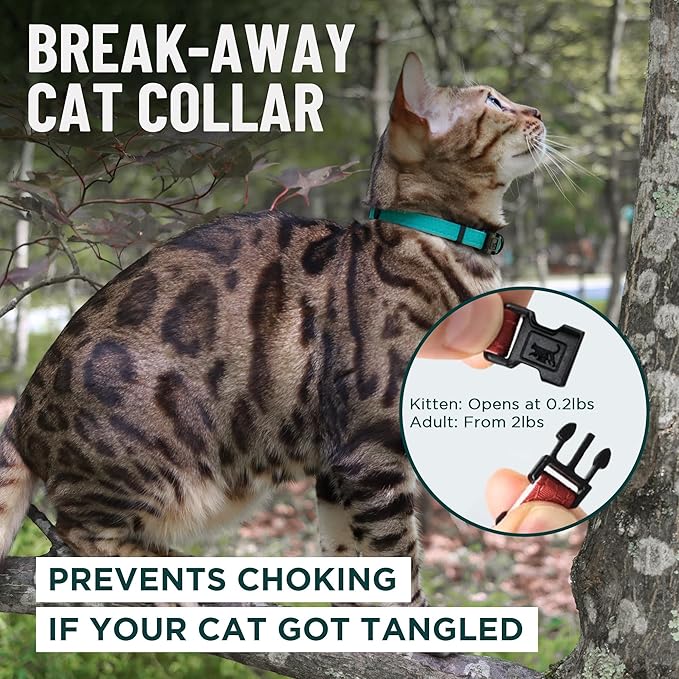 OutdoorBengal Green Breakaway Kitten Collar - Image 2