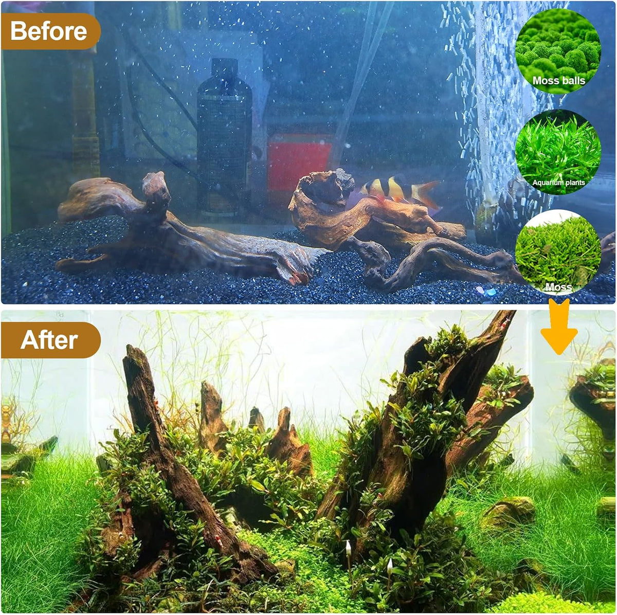 Natural Driftwood Decor for Aquarium Decorations Reptile Tank Accessories, Assorted Wood Branches Decorations on Reptile Fish Tank 2-10" 2 Pcs/4 Pcs/ 5 Pcs/ 6 Pcs (Pack of 4 (5. to 8 Inch))