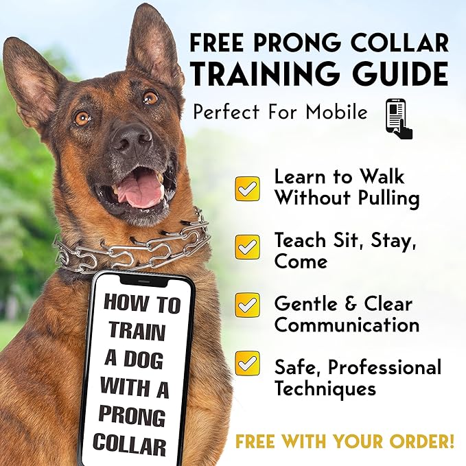 PetJett Prong Collar for Dogs - Image 4
