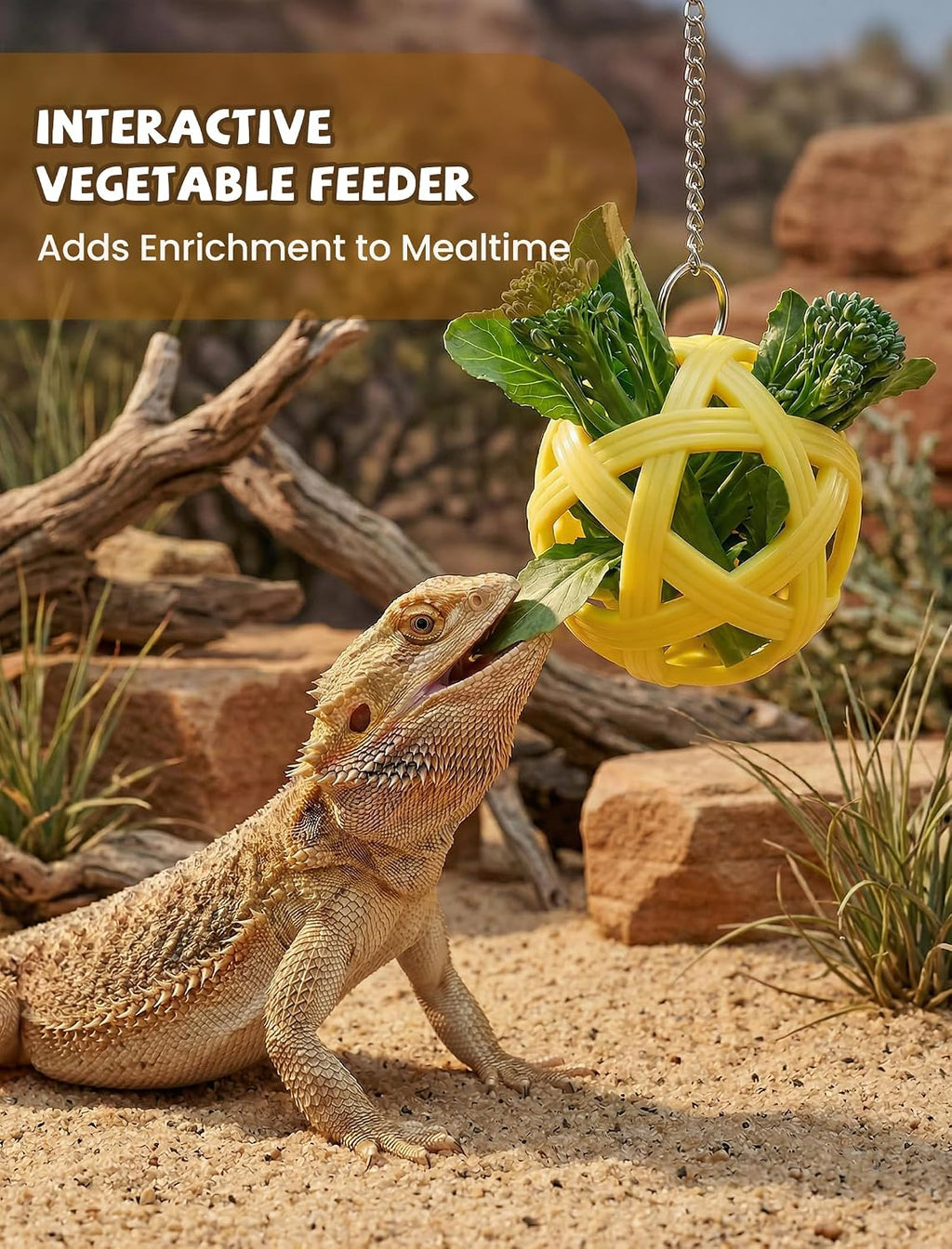 Bearded Dragon Enrichment Toys, Interactive Reptile Feeder Ball Set