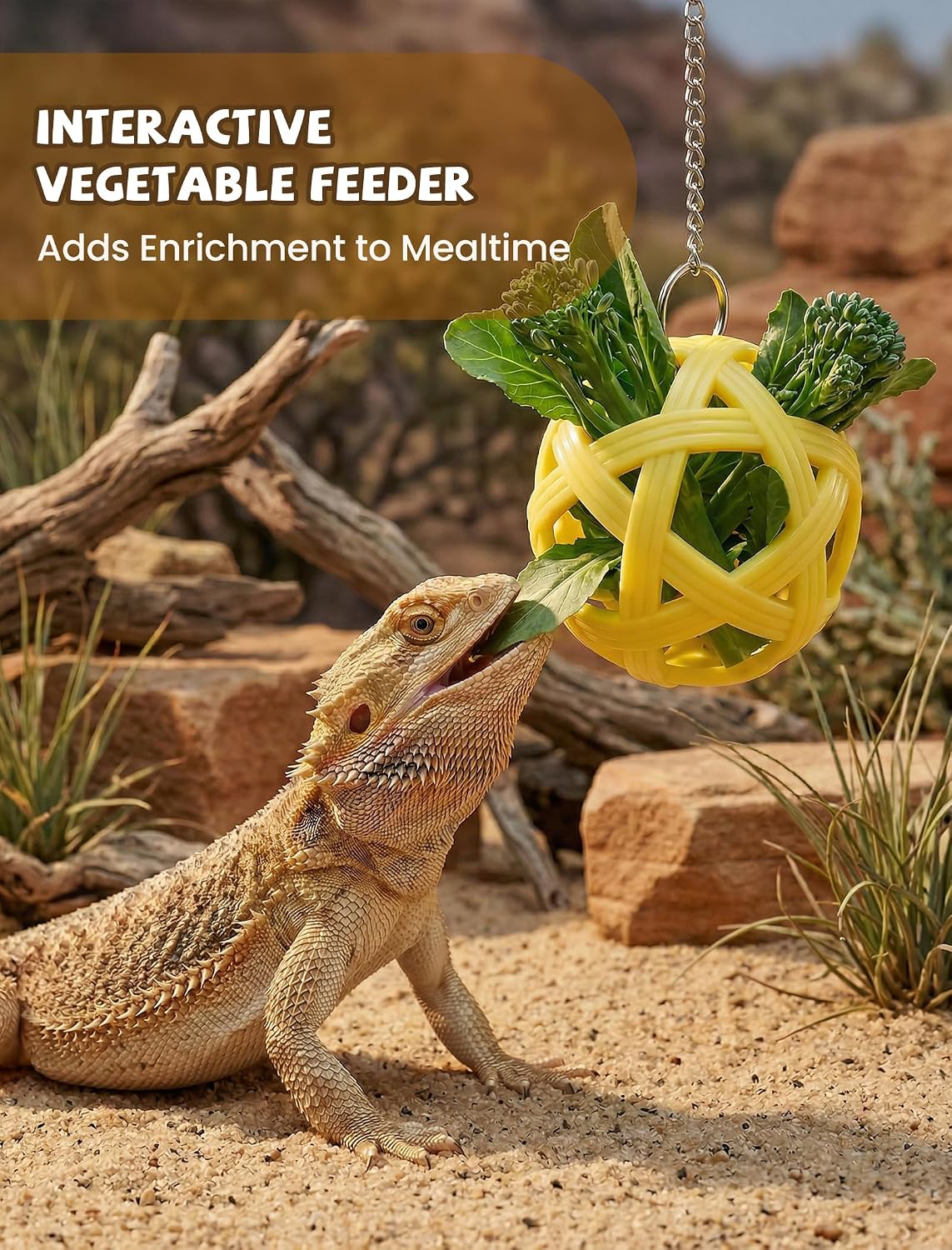 Bearded Dragon Enrichment Toys, Interactive Reptile Feeder Ball Set