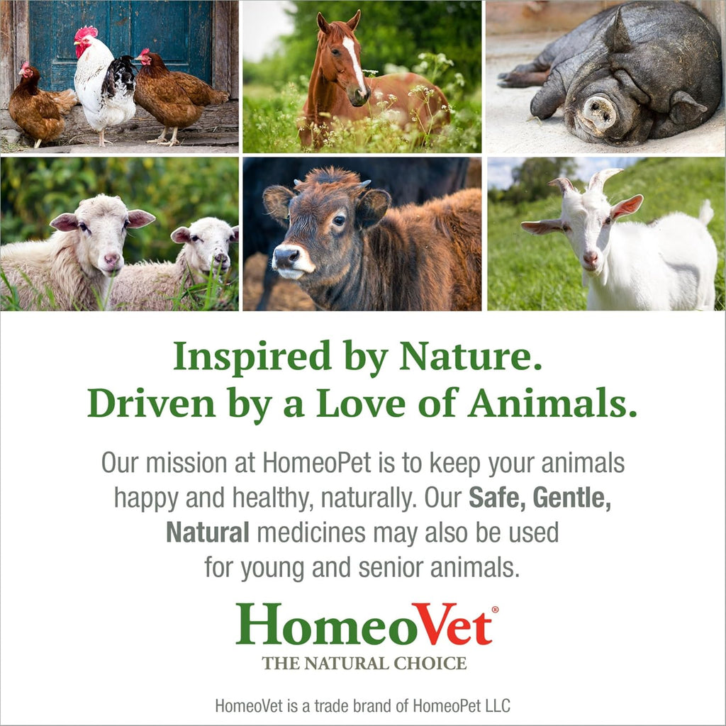 HomeoPet Avian Digestive Upsets, Supplement for Birds, 15 Milliliters